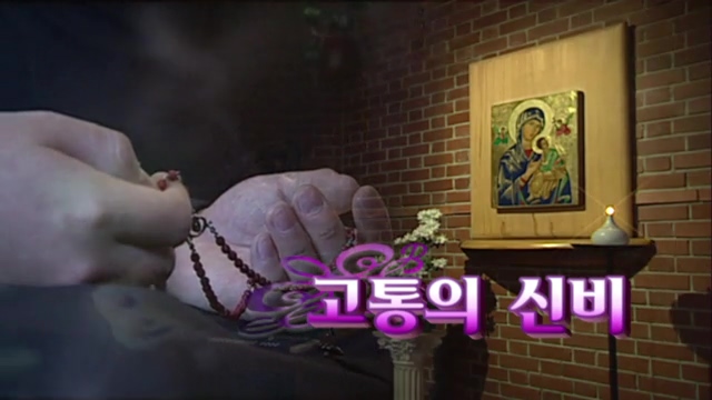묵주기도 : [다시보기] 묵주기도 6회 : Cpbc 플러스