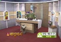 2014년 2월 11일 연중 제5주간 화요일 (세계 병자의 날)