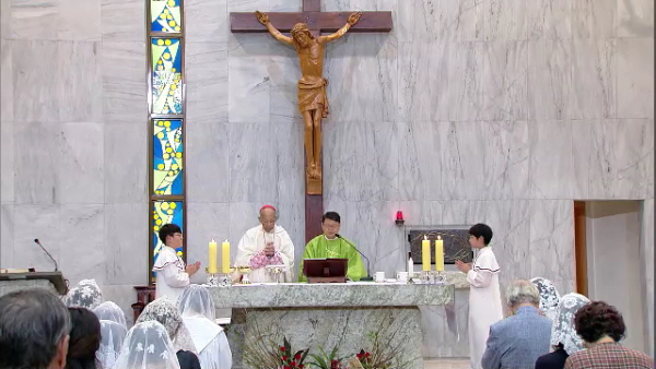 2018년 9월 2일 연중 제22주일 - 서울대교구 청담동 성당