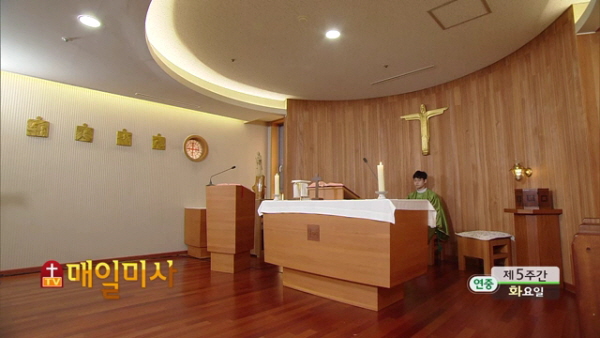 2019년 2월 12일 연중 제5주간 화요일