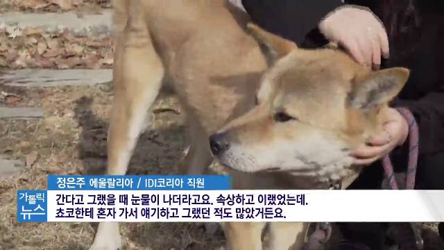 1/30 (목) - <3> 하느님의 집으로 돌아온 개 ‘쵸코’