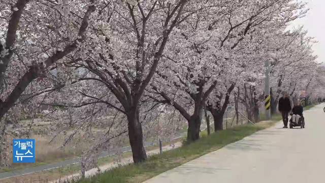 4/10 (금) - CPBC 가톨릭뉴스