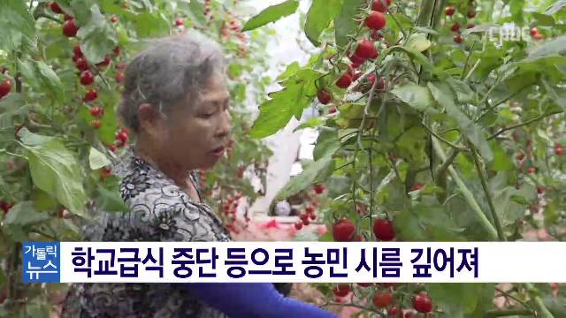 7/20(월) - <1> "밥상의 시작, 농민 위해 기도를"…농민주일 기념미사