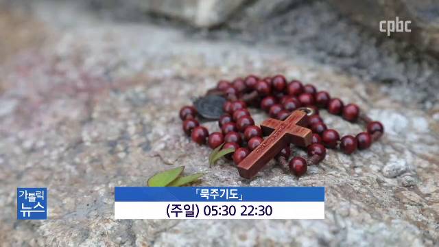 11/25(수) - <2> CPBC TV　대림 개편 안내