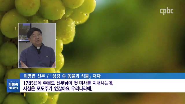 4/5(월) - <4> [식목일] 성경에 많이 나오는 나무 BEST3는?